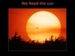 We Need the sun 