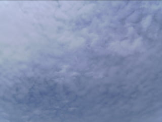 Wene stopt chemtrails 2