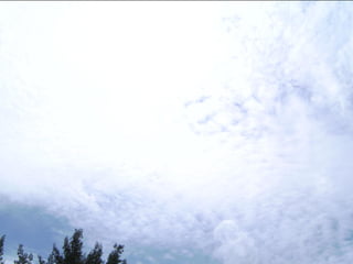 Wene stopt chemtrails 2