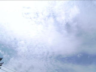 Wene stopt chemtrails 2