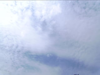 Wene stopt chemtrails 2