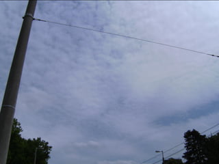 Wene stopt chemtrails 2