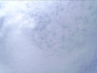 Wene stopt chemtrails 2