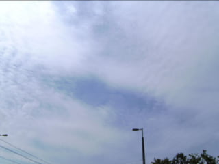 Wene stopt chemtrails 2