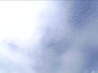 Wene stopt chemtrails 2