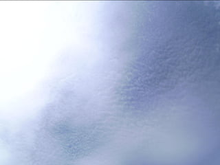 Wene stopt chemtrails 2