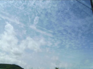 Wene stopt chemtrails 2