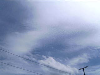 Wene stopt chemtrails 2