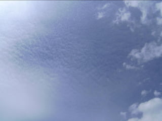 Wene stopt chemtrails 2