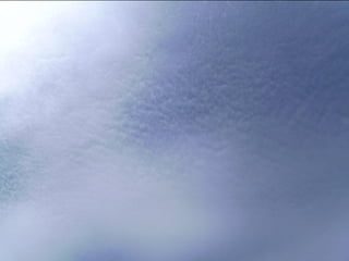 Wene stopt chemtrails 2