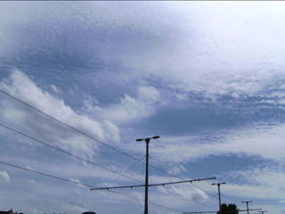 Wene stopt chemtrails 2