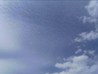 Wene stopt chemtrails 2