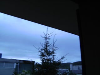 Wene stopt chemtrails 2