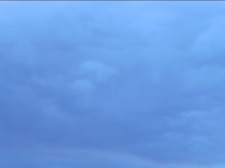 Wene stopt chemtrails 2