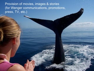 Provision of movies, images & stories
(for Wenger communications, promotions,
press, TV, etc.)
 