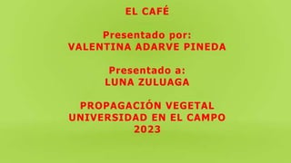 EL CAFÉ
Presentado por:
VALENTINA ADARVE PINEDA
Presentado a:
LUNA ZULUAGA
PROPAGACIÓN VEGETAL
UNIVERSIDAD EN EL CAMPO
2023
 