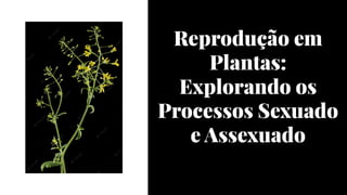 Reprodução em
Plantas:
Explorando os
Processos Sexuado
e Assexuado
 