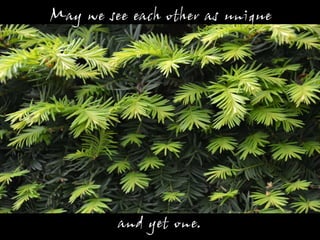 May we see each other as unique




         and yet one.
 