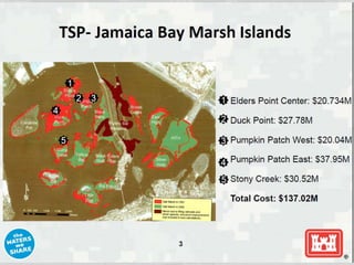 Army Corps of Engineers Report on Restoration Planning in Jamaica bay Slide 10