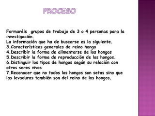 Formaréis grupos de trabajo de 3 o 4 personas para la investigación. La información que ha de buscarse es la siguiente. Características generales de reino hongo Describir la forma de alimentarse de los hongos Describir la forma de reproducción de los hongos. Distinguir los tipos de hongos según su relación con otros seres vivos Reconocer que no todos los hongos son setas sino que las levaduras también son del reino de los hongos.