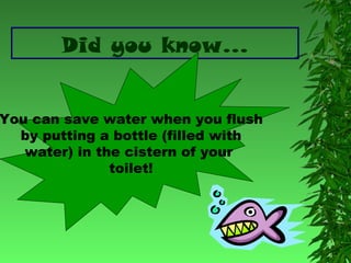 Did you know…

You can save water when you flush
by putting a bottle (filled with
water) in the cistern of your
toilet!

 
