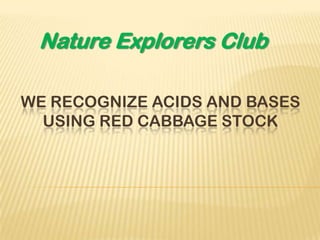 Nature Explorers Club

WE RECOGNIZE ACIDS AND BASES
  USING RED CABBAGE STOCK
 