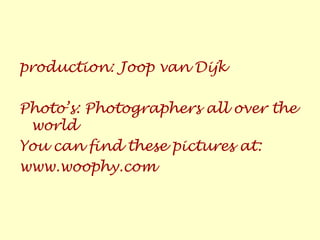 production: Joop van Dijk
Photo’s: Photographers all over the
world
You can find these pictures at:
www.woophy.com
 