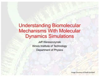 Understanding Biomolecular
Mechanisms With Molecular
Dynamics Simulations
Jeff Wereszczynski
Illinois Institute of Technology
Department of Physics
Image	Courtesy	of	David	Goodsell
 