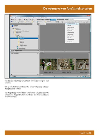 De weergave van foto’s snel sorteren




Met de volgende knop kan je foto’s binnen de weergave snel
sorteren.

Klik op het afrolmenu en kies welke sorteervolgorde je wil door
die optie aan te klikken.

Met de grote pijl die naast deze functie staat kan je de volgorde
oplopend of aflopend maken, de pijl wijst dan ofwel naar boven
ofwel naar onder.




                                                                                    blz 35 van 82
 