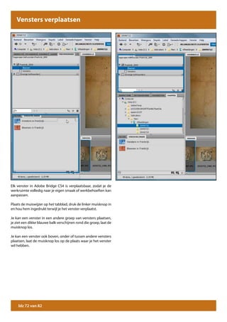 Vensters verplaatsen




Elk venster in Adobe Bridge CS4 is verplaatsbaar, zodat je de
werkruimte volledig naar je eigen smaak of werkbehoeften kan
aanpassen.

Plaats de muiswijzer op het tabblad, druk de linker muisknop in
en hou hem ingedrukt terwijl je het venster verplaatst.

Je kan een venster in een andere groep van vensters plaatsen,
je ziet een dikke blauwe balk verschijnen rond die groep, laat de
muisknop los.

Je kan een venster ook boven, onder of tussen andere vensters
plaatsen, laat de muisknop los op de plaats waar je het venster
wil hebben.




    blz 72 van 82
 