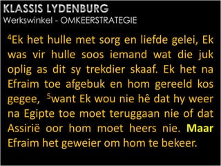 4Ek het hulle met sorg en liefde gelei, Ek
was vir hulle soos iemand wat die juk
oplig as dit sy trekdier skaaf. Ek het na
Efraim toe afgebuk en hom gereeld kos
gegee, 5want Ek wou nie hê dat hy weer
na Egipte toe moet teruggaan nie of dat
Assirië oor hom moet heers nie. Maar
Efraim het geweier om hom te bekeer.
 