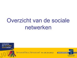 Overzicht van de sociale
       netwerken
 
