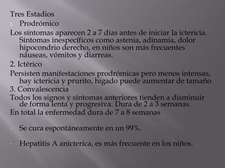 Tres Estadios
1. Prodrómico
Los síntomas aparecen 2 a 7 días antes de iniciar la ictericia.
Síntomas inespecíficos como astenia, adinamia, dolor
hipocondrio derecho, en niños son más frecuentes
náuseas, vómitos y diarreas.
2. Ictérico
Persisten manifestaciones prodrómicas pero menos intensas,
hay ictericia y prurito, hígado puede aumentar de tamaño
3. Convalescencia
Todos los signos y síntomas anteriores tienden a disminuir
de forma lenta y progresiva. Dura de 2 a 3 semanas.
En total la enfermedad dura de 7 a 8 semanas
-

Se cura espontáneamente en un 99%.

-

Hepatitis A anicterica, es más frecuente en los niños.

 