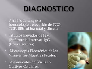 -

Análisis de sangre o
hematológico, elevación de TGO,
TGP, Bilirrubina total y directa



Tituulos Elevados de IgM
(Enfermedad Activa), IgG
(Convalecencia).



Microscopia Electrónica de los
Virus en las Muestras Fecales.



Aislamientos del Virus en
Cultivos Celulares.

 