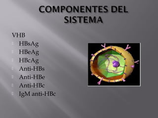 VHB
 HBsAg
 HBeAg
 HBcAg
 Anti-HBs
 Anti-HBe
 Anti-HBc
 IgM anti-HBc

 