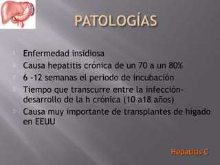 






Enfermedad insidiosa
Causa hepatitis crónica de un 70 a un 80%
6 -12 semanas el periodo de incubación
Tiempo que transcurre entre la infeccióndesarrollo de la h crónica (10 a18 años)
Causa muy importante de transplantes de hígado
en EEUU
Hepatitis C

 