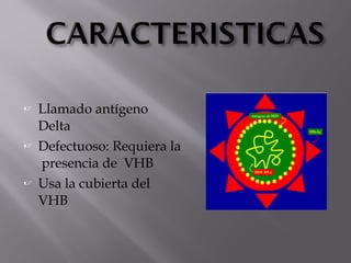 





Llamado antígeno
Delta
Defectuoso: Requiera la
presencia de VHB
Usa la cubierta del
VHB

 