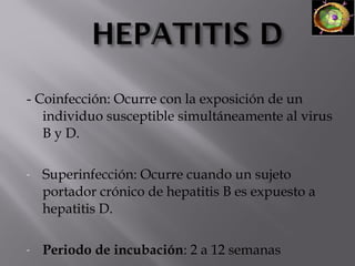 - Coinfección: Ocurre con la exposición de un
individuo susceptible simultáneamente al virus
B y D.
-

Superinfección: Ocurre cuando un sujeto
portador crónico de hepatitis B es expuesto a
hepatitis D.

-

Periodo de incubación: 2 a 12 semanas

 