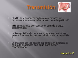 

El VHE se encuentra en los excrementos de
personas y animales infectados con la hepatitis E.



VHE se trasmite por consumir comida o agua
contaminada.



La transmisión de persona a persona ocurre con
menos frecuencia que con el virus de la hepatitis
A.



La mayoría de los brotes en países en desarrollo
han sido asociados con agua para beber
contaminada
Hepatitis E

 