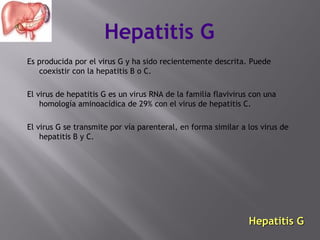 Hepatitis G
Es producida por el virus G y ha sido recientemente descrita. Puede
coexistir con la hepatitis B o C.
El virus de hepatitis G es un virus RNA de la familia flavivirus con una
homología aminoacídica de 29% con el virus de hepatitis C.
El virus G se transmite por vía parenteral, en forma similar a los virus de
hepatitis B y C.

Hepatitis G

 