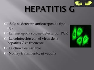  Solo se detectan anticuerpos de tipo

IgG
La fase aguda solo se detecta por PCR
La coinfección con el virus de la
hepatitis C es frecuente
La clínica es variable
No hay tratamiento, ni vacuna

 