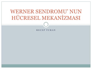 WERNER SENDROMU’ NUN
HÜCRESEL MEKANİZMASI
RECEP TURAN

 