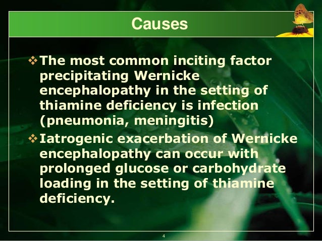 wernicke encephalopathy wernicke encephalopathy