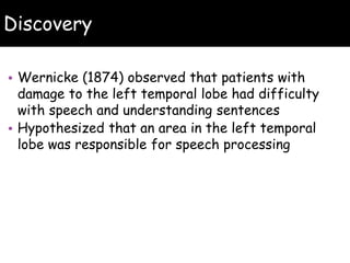 Discovery
• Wernicke (1874) observed that patients with
damage to the left temporal lobe had difficulty
with speech and understanding sentences
• Hypothesized that an area in the left temporal
lobe was responsible for speech processing
 