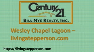 Wesley Chapel Lagoon –
livingatepperson.com
https://livingatepperson.com
 