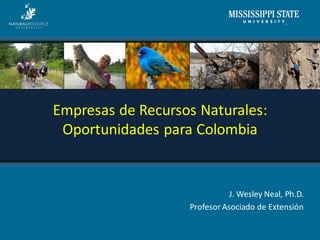 J. Wesley Neal, Ph.D.
Profesor Asociado de Extensión
Empresas de Recursos Naturales:
Oportunidades para Colombia
 