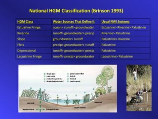 Wetland Ecosystem Service Protocol for Southeast Alaska by Dr. Paul ...