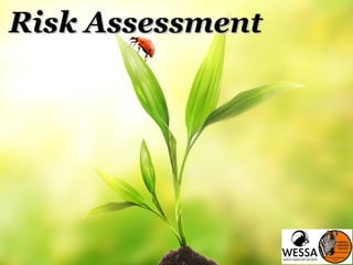 Risk AssessmentRisk Assessment
 