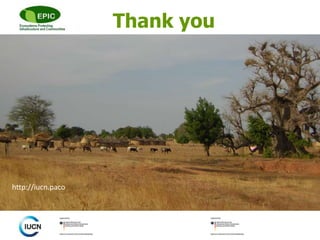 © 
Main text + picture 
Subtitle 
Thank you 
http://iucn.paco 
