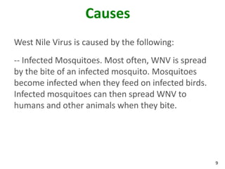 Causes
West Nile Virus is caused by the following:
-- Infected Mosquitoes. Most often, WNV is spread
by the bite of an infected mosquito. Mosquitoes
become infected when they feed on infected birds.
Infected mosquitoes can then spread WNV to
humans and other animals when they bite.




                                                    9
 